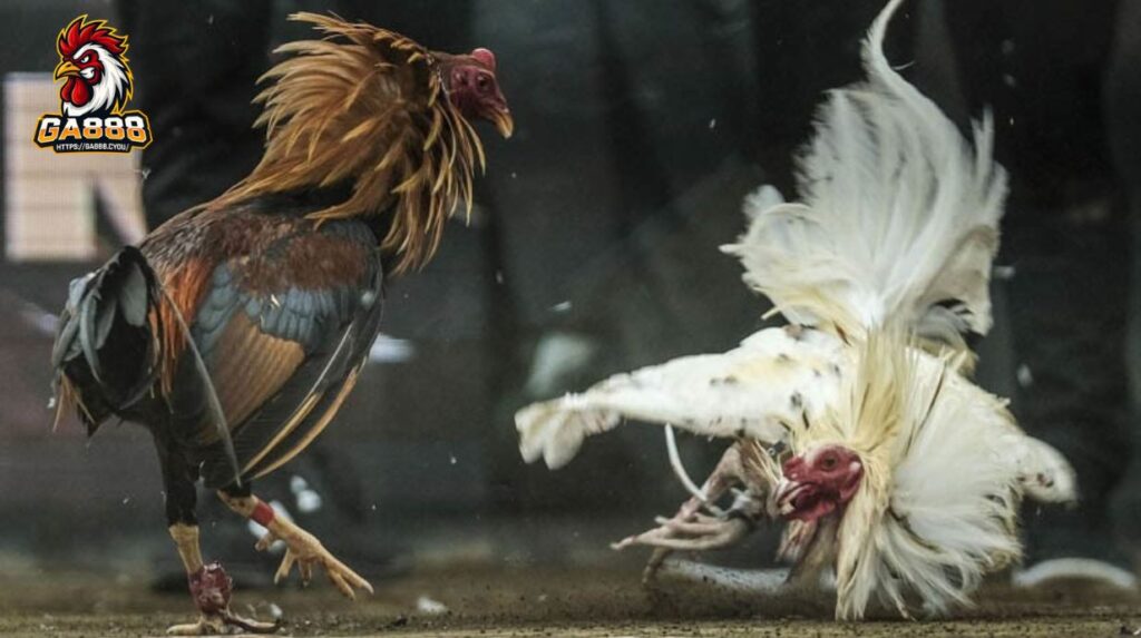 Những lỗi phổ biến của người mới