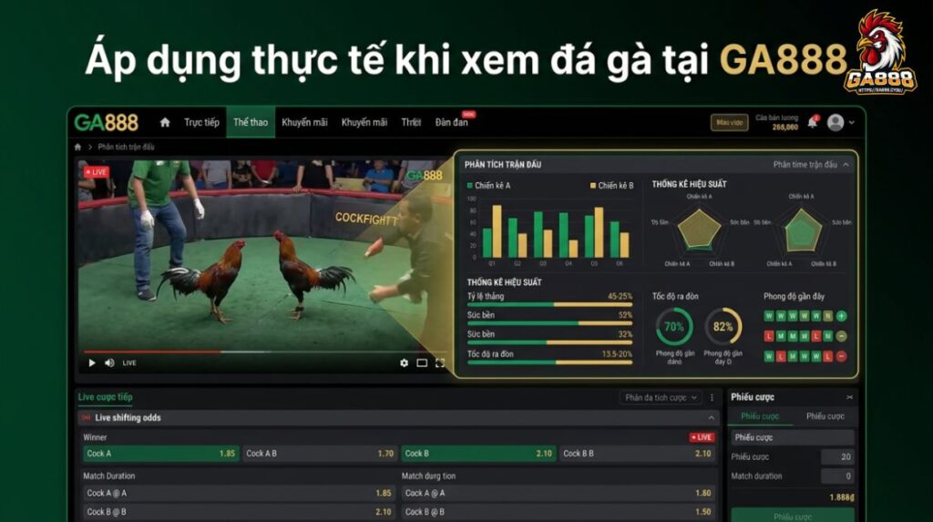 Áp dụng thực tế khi xem đá gà tại GA888