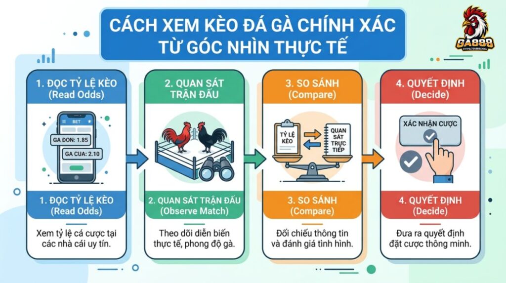 Cách xem kèo đá gà đúng từ góc nhìn thực chiến